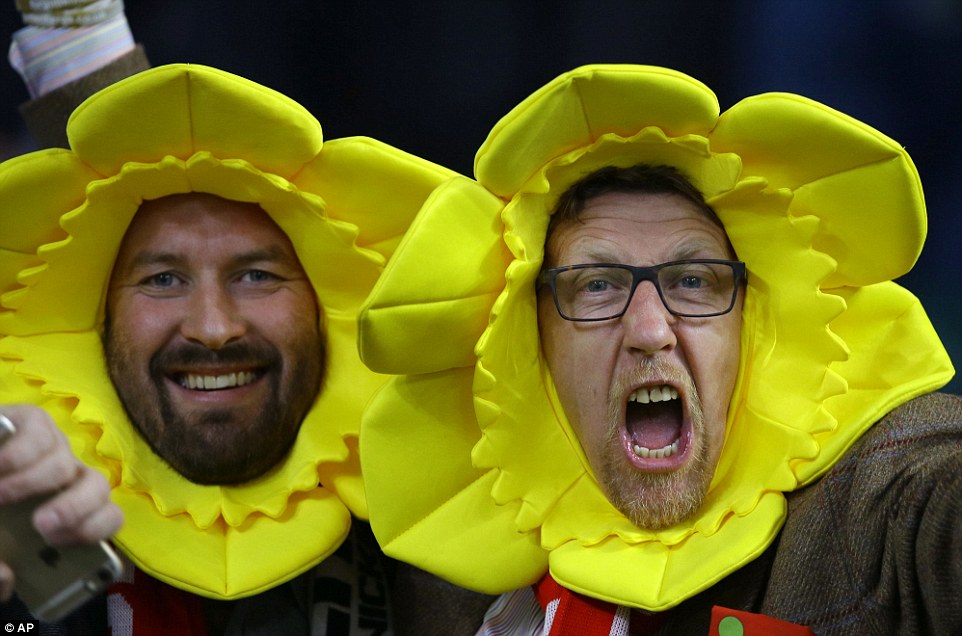 Welsh fans daffodil shout