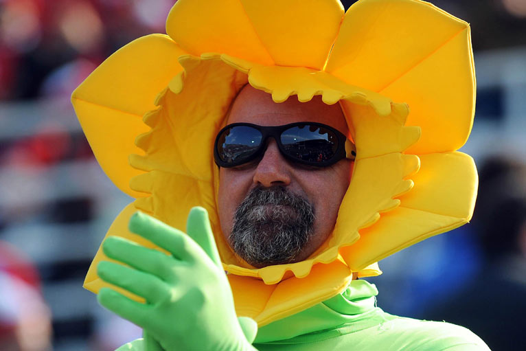 Wales fan daffodil