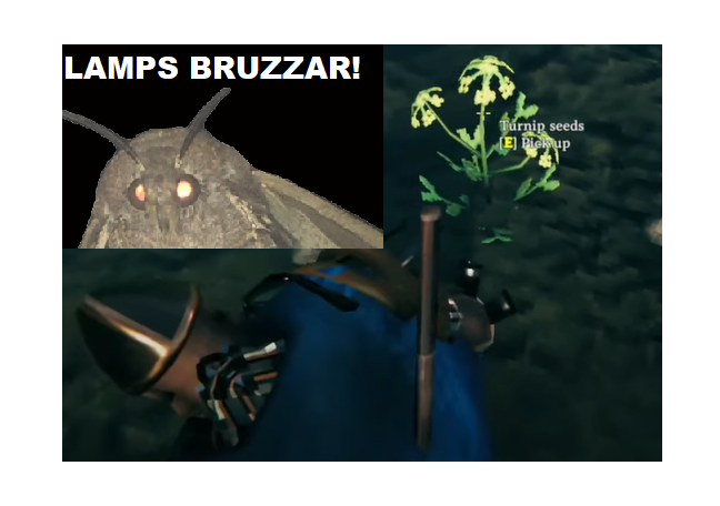 LAMPS-tn.png